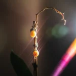 Rainbow Starlight Filter
