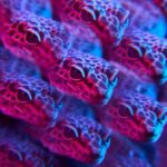 the hive camera lens filters