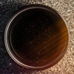 vnd variable density neutral density lens filter